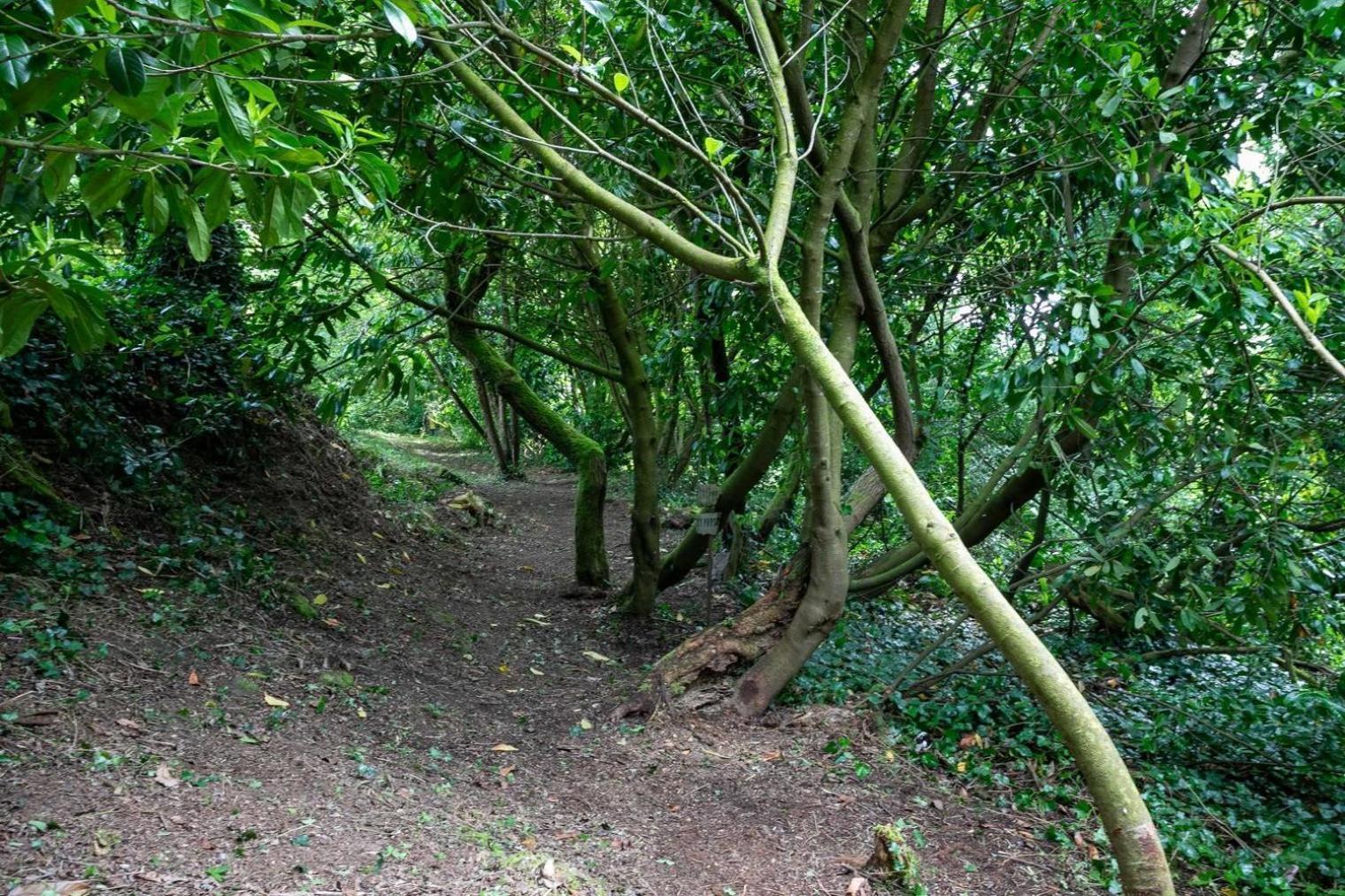 Domaine De La Blanche Hermine Plounerin Εξωτερικό φωτογραφία